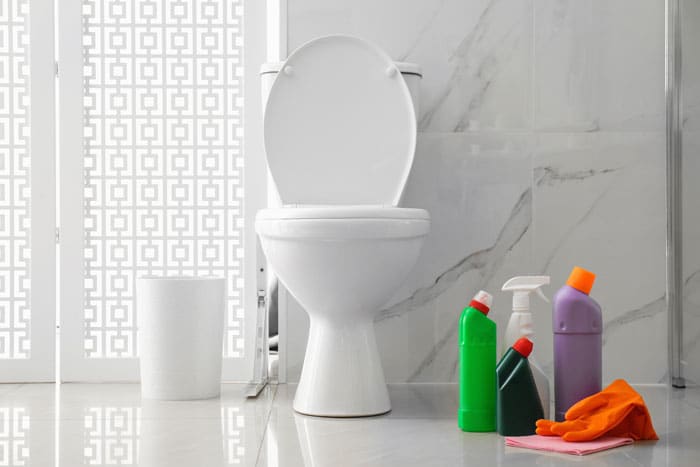 Limpadores para banheiro: categoria de saneantes de crescimento expressivo no ano passado.