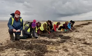 Limpeza de pellets: ativistas cobram legislação para conter infestação dos grânulos plásticos em praias inglesas.