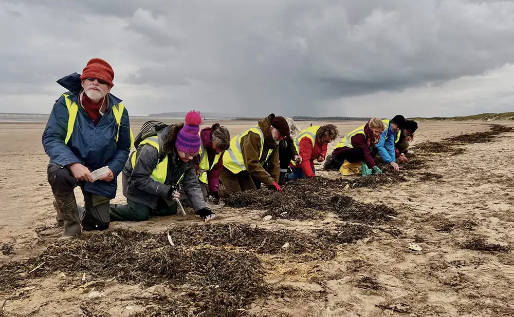 Limpeza de pellets: ativistas cobram legislação para conter infestação dos grânulos plásticos em praias inglesas.