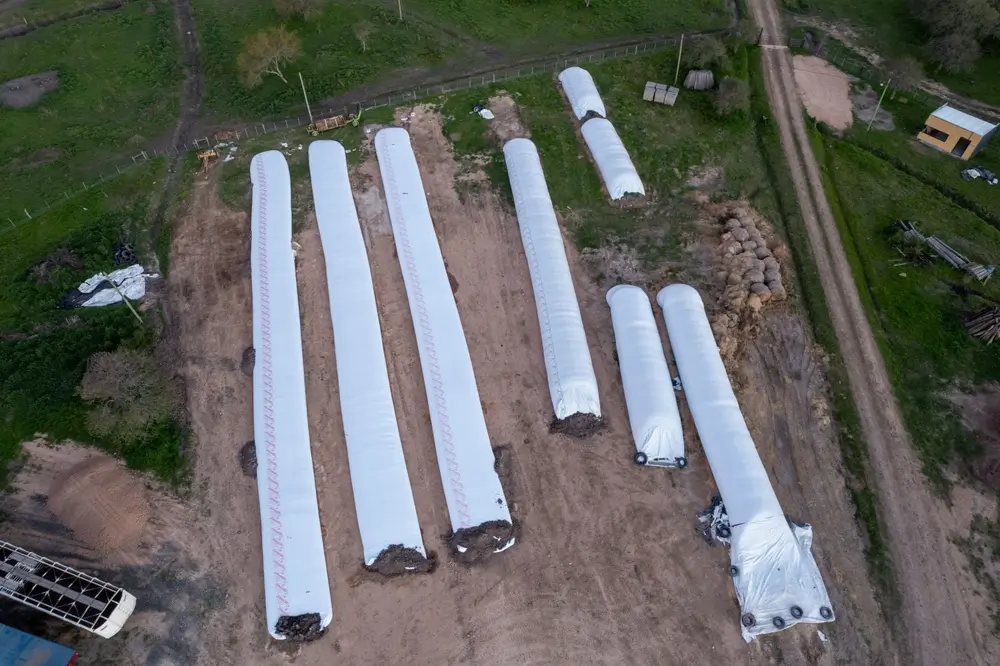 Silos bolsas: oportunidades à sombra do déficit na armazenagem prejudicial para o produtor rural.