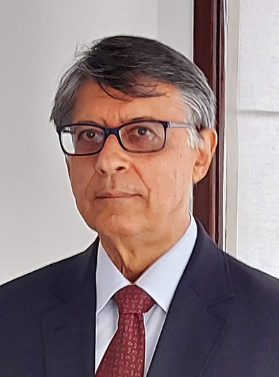 Luiz Fernando Marinho Nunes, ChemVision