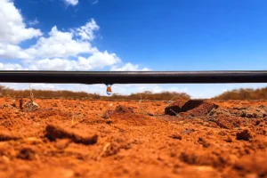 Busca de previsibilidade no cultivo fertiliza a irrigação localizada, atesta expansão da Netafim