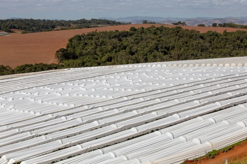 Brasil: importações mobilizam mais de 35% do consumo aparente de poliolefinas para usos como cultivo protegido.